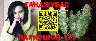 jwh Бийск