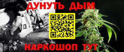 jwh Бийск