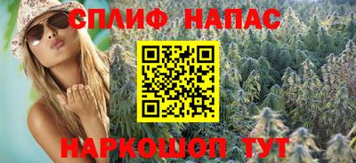 jwh Бийск