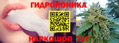 гидропоника Берёзовский