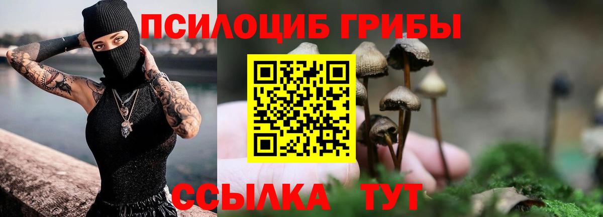 Галлюциногенные грибы прущие грибы Камышлов